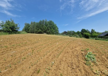 działka na sprzedaż - Zielonki, Wola Zachariaszowska