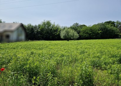 działka na sprzedaż - Kocmyrzów-Luborzyca, Łuczyce
