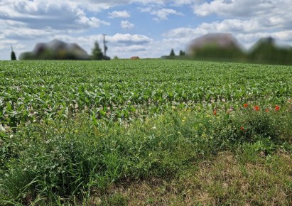 działka na sprzedaż - Kocmyrzów-Luborzyca, Dojazdów