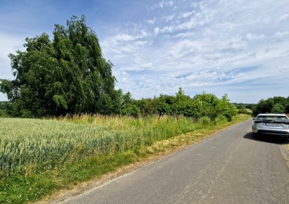 działka na sprzedaż - Zielonki, Grębynice
