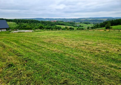 działka na sprzedaż - Michałowice (gw), Kozierów