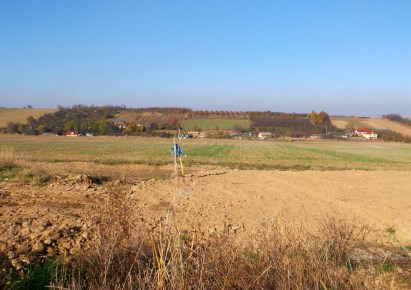 działka na sprzedaż - Iwanowice, Żerkowice