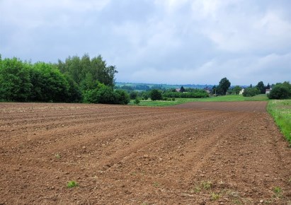 działka na sprzedaż - Skała (gw), Smardzowice