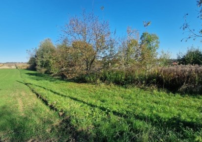 działka na sprzedaż - Kraków, Prądnik Biały, Witkowice