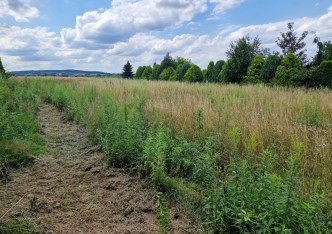 działka na sprzedaż - Kocmyrzów-Luborzyca, Wilków