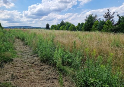 działka na sprzedaż - Kocmyrzów-Luborzyca, Wilków
