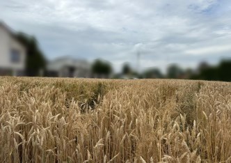 działka na sprzedaż - Zielonki, Dziekanowice