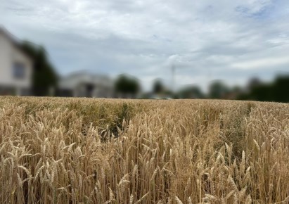 działka na sprzedaż - Zielonki, Dziekanowice