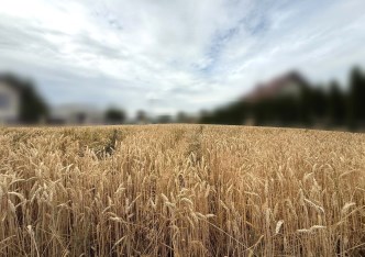 działka na sprzedaż - Zielonki, Dziekanowice