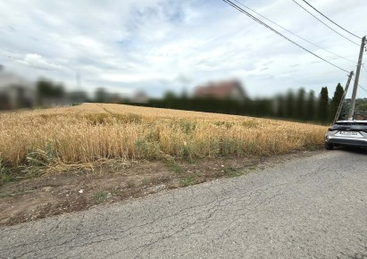 działka na sprzedaż - Zielonki, Dziekanowice