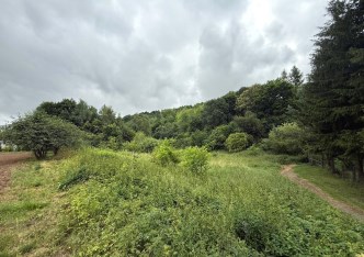działka na sprzedaż - Skała (gw), Szczodrkowice
