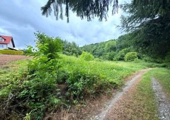 działka na sprzedaż - Skała (gw), Szczodrkowice