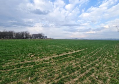 działka na sprzedaż - Skała (gw), Cianowice Duże