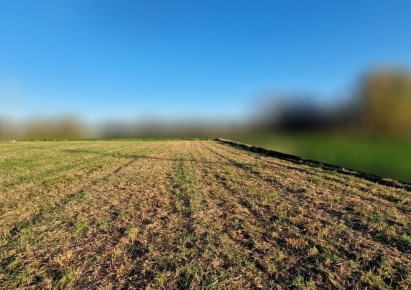 działka na sprzedaż - Zielonki, Węgrzce