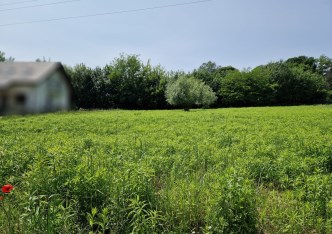 działka na sprzedaż - Kocmyrzów-Luborzyca, Łuczyce