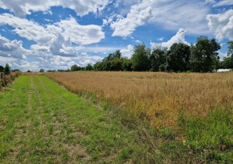 działka na sprzedaż - Michałowice (gw), Kozierów