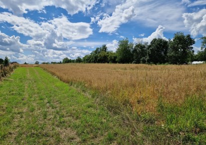 działka na sprzedaż - Michałowice (gw), Kozierów
