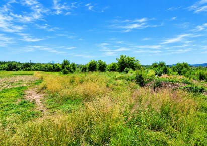 działka na sprzedaż - Wielka Wieś, Modlniczka