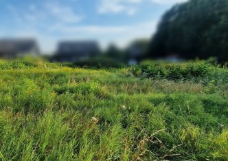 działka na sprzedaż - Zielonki, Marszowiec