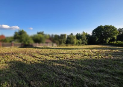działka na sprzedaż - Zielonki, Dziekanowice