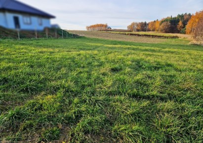 działka na sprzedaż - Michałowice (gw), Masłomiąca