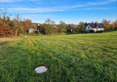 działka na sprzedaż - Michałowice (gw), Masłomiąca