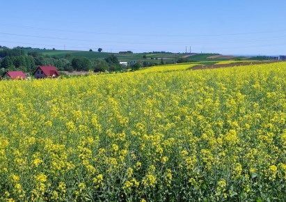 działka na sprzedaż - Zielonki, Węgrzce