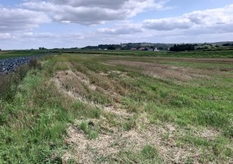 działka na sprzedaż - Kocmyrzów-Luborzyca, Łososkowice