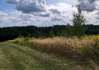 działka na sprzedaż - Michałowice (gw), Michałowice