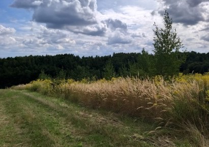 działka na sprzedaż - Michałowice (gw), Michałowice