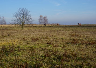 działka na sprzedaż - Iwanowice, Iwanowice Włościańskie