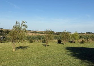działka na sprzedaż - Zielonki, Węgrzce