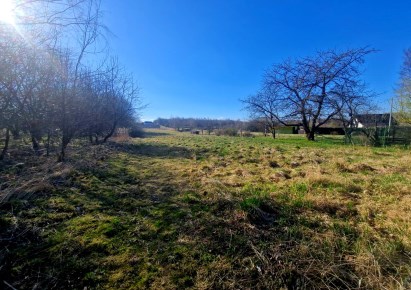 działka na sprzedaż - Skała (gw), Smardzowice
