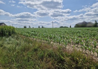 działka na sprzedaż - Kocmyrzów-Luborzyca, Dojazdów