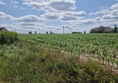 działka na sprzedaż - Kocmyrzów-Luborzyca, Dojazdów