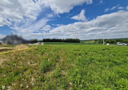 działka na sprzedaż - Skała (gw), Szczodrkowice
