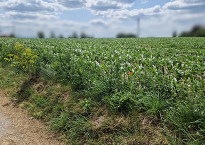 działka na sprzedaż - Kocmyrzów-Luborzyca, Dojazdów