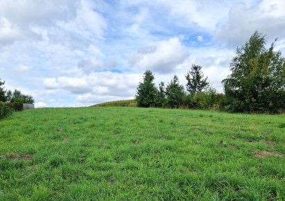 działka na sprzedaż - Iwanowice, Narama