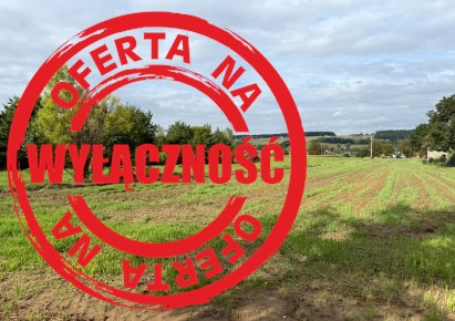 działka na sprzedaż - Skała (gw), Minoga