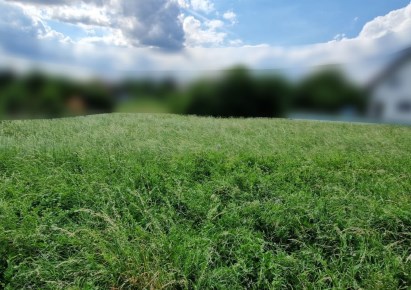 działka na sprzedaż - Zabierzów, Karniowice