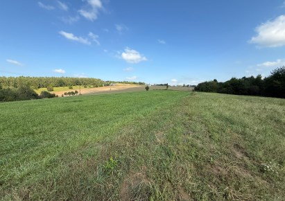 działka na sprzedaż - Zielonki, Korzkiew