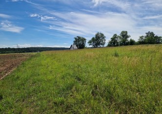 działka na sprzedaż - Michałowice (gw), Michałowice