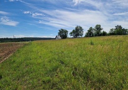 działka na sprzedaż - Michałowice (gw), Michałowice