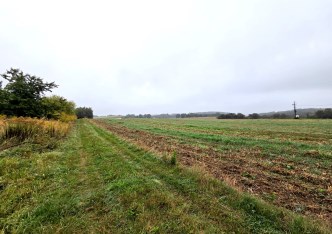 działka na sprzedaż - Skała (gw), Rzeplin