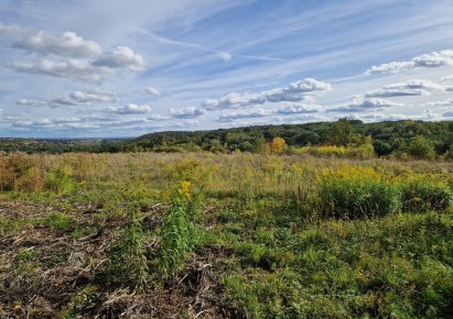 działka na sprzedaż - Michałowice (gw), Michałowice