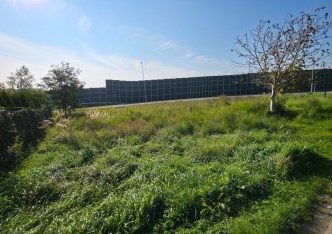 działka na wynajem - Zielonki, Węgrzce