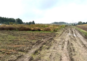 działka na sprzedaż - Zielonki, Bibice