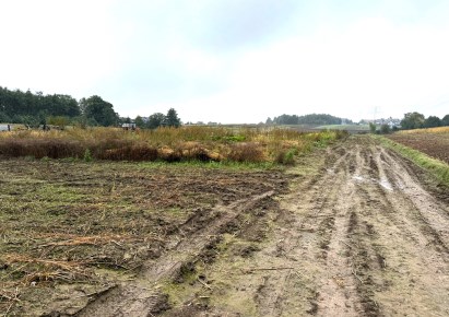 działka na sprzedaż - Zielonki, Bibice