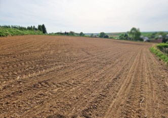 działka na sprzedaż - Michałowice (gw), Raciborowice