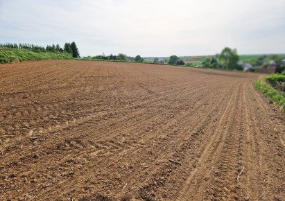 działka na sprzedaż - Michałowice (gw), Raciborowice